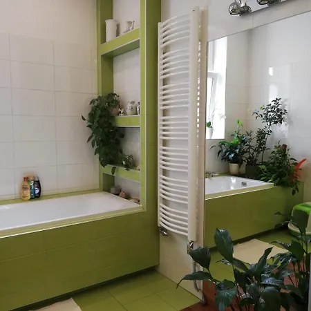 Botaniczny