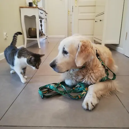 Homestay szállás Botaniczny Krakkó